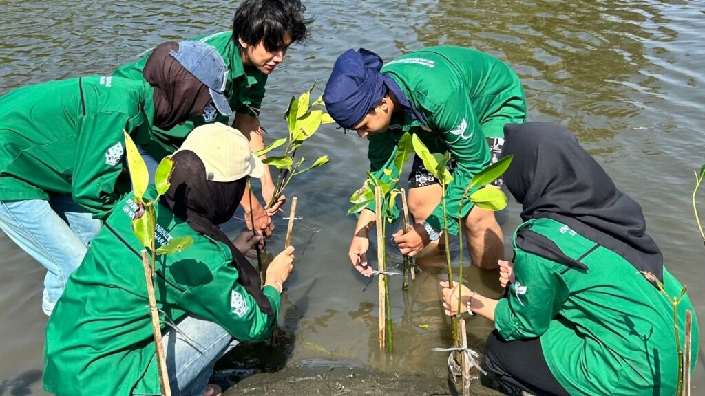 WhatsApp Image 2026 04 26 at 11.09.32