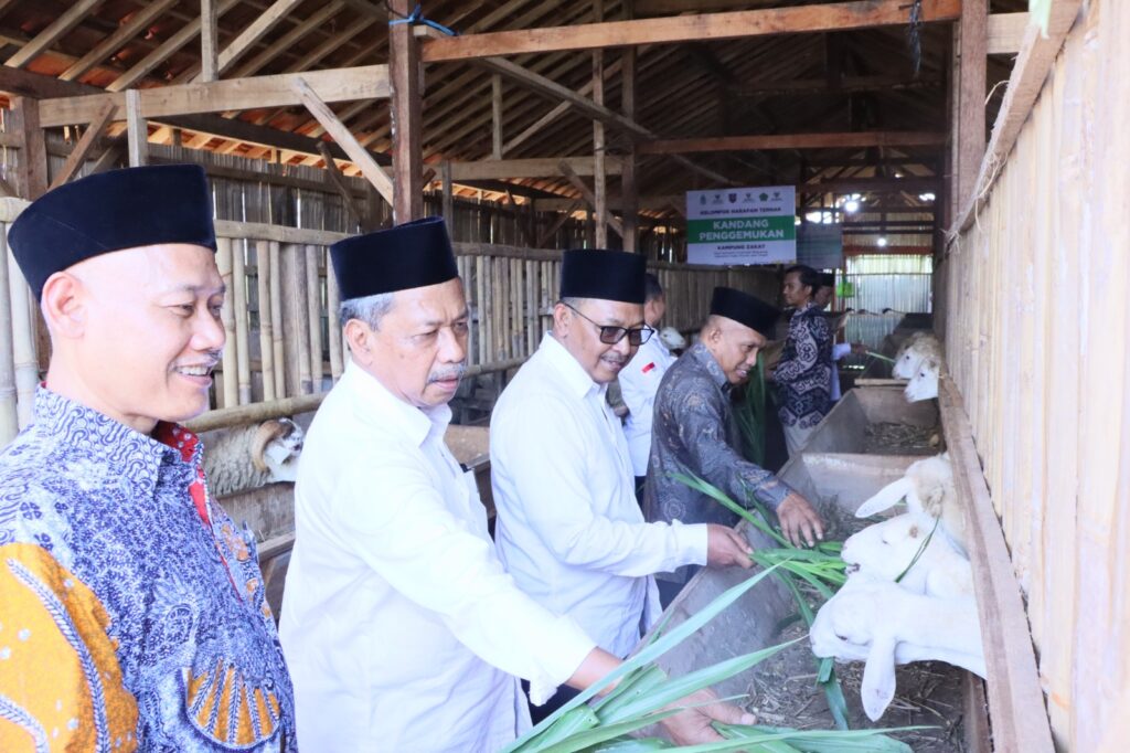 Peluncuran Balai Ternak dan Pembukaan Omah Mijil, Sinergi BAZNAS, Pemkab Tegal, dan UIN Walisongo untuk Pemberdayaan Masyarakat – UIN Walisongo 3 WhatsApp Image 2026 05 21 at 14.59.54