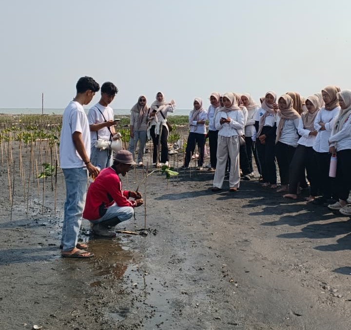 Dies Natalis ke-11, FPK UIN Walisongo Tanam Mangrove Bersama Masyarakat – UIN Walisongo 2 WhatsApp Image 2026 09 21 at 09.41.11